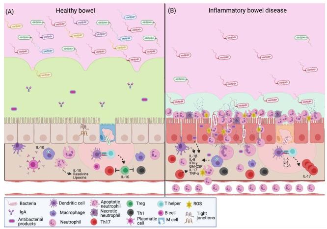 https://cdn.ncbi.nlm.nih.gov/pmc/blobs/8684/8230648/dac13ca4a5d8/cells-10-01469-g002.jpg