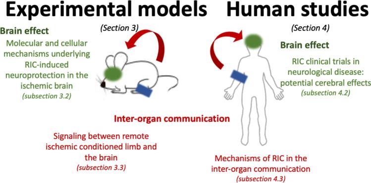 https://cdn.ncbi.nlm.nih.gov/pmc/blobs/8684/8533672/b769505ea1f6/12035_2021_2585_Fig4_HTML.jpg