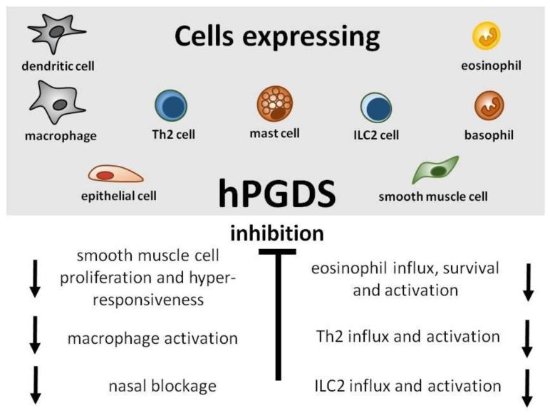 https://cdn.ncbi.nlm.nih.gov/pmc/blobs/8686/6628301/e9dd81bfee10/cells-08-00619-g002.jpg