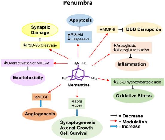 https://cdn.ncbi.nlm.nih.gov/pmc/blobs/8686/7996012/2bb3646483f4/NRR-16-433-g003.jpg