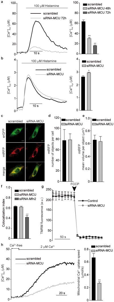 https://cdn.ncbi.nlm.nih.gov/pmc/blobs/8687/4141877/49fabab6dd54/nihms304276f2.jpg