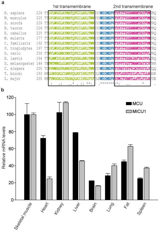 https://cdn.ncbi.nlm.nih.gov/pmc/blobs/8687/4141877/8277b6252e1e/nihms304276f1.jpg