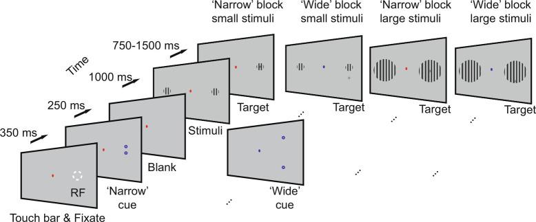 https://cdn.ncbi.nlm.nih.gov/pmc/blobs/8688/9945997/402f4bceff8a/pnas.2210698120fig01.jpg