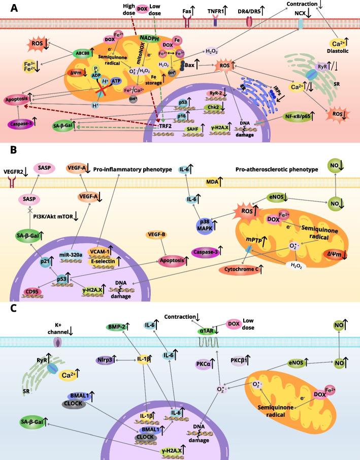 https://cdn.ncbi.nlm.nih.gov/pmc/blobs/8689/10207659/a9953b0c25d4/11658_2023_451_Fig2_HTML.jpg