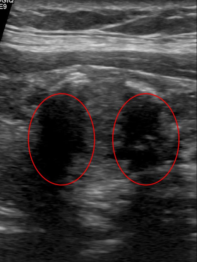 https://cdn.ncbi.nlm.nih.gov/pmc/blobs/8689/12364431/3211aea46e1a/formative-v9-e70863-g005.jpg