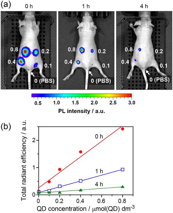https://cdn.ncbi.nlm.nih.gov/pmc/blobs/868b/12366261/d347427800ff/SMLL-21-2411142-g012.jpg