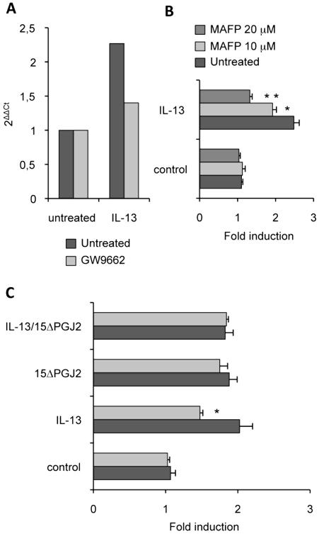 https://cdn.ncbi.nlm.nih.gov/pmc/blobs/868b/2795865/2288871f7ad6/ppat.1000714.g006.jpg