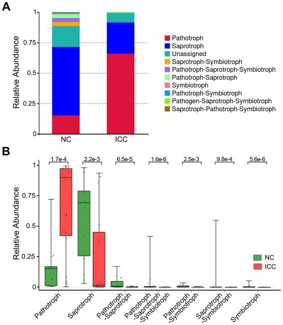 https://cdn.ncbi.nlm.nih.gov/pmc/blobs/868b/9853418/5322cce400f7/fmicb-13-1090392-g005.jpg