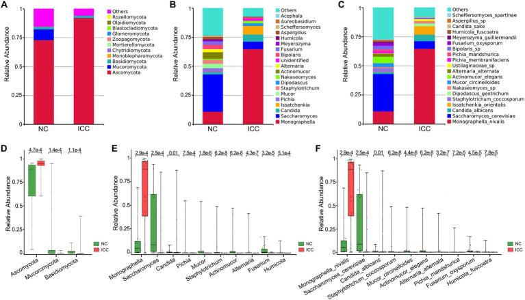 https://cdn.ncbi.nlm.nih.gov/pmc/blobs/868b/9853418/71e650fb2271/fmicb-13-1090392-g002.jpg