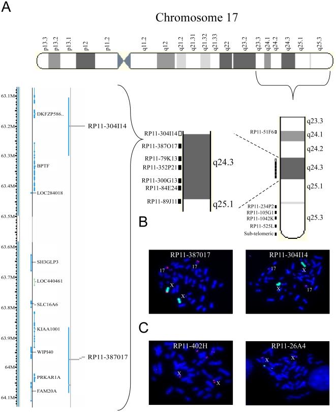 https://cdn.ncbi.nlm.nih.gov/pmc/blobs/868d/2836376/21fb07d54026/pone.0009657.g003.jpg