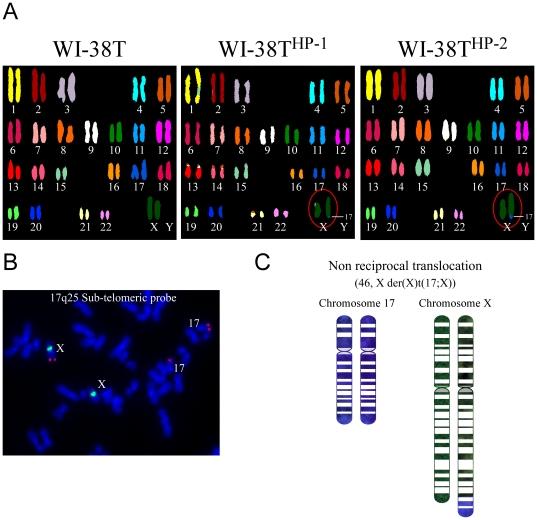 https://cdn.ncbi.nlm.nih.gov/pmc/blobs/868d/2836376/2c444815cc13/pone.0009657.g002.jpg