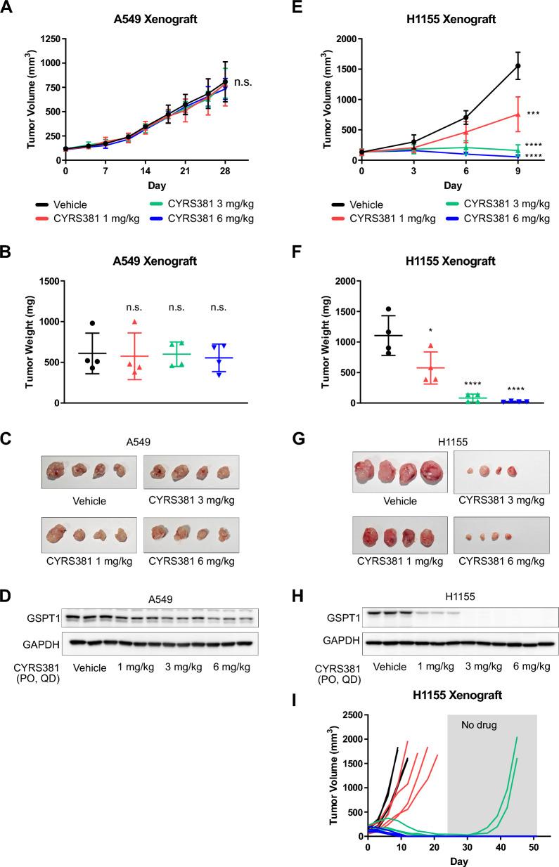 https://cdn.ncbi.nlm.nih.gov/pmc/blobs/868f/12186427/0026678ec2f1/40164_2025_674_Fig2_HTML.jpg
