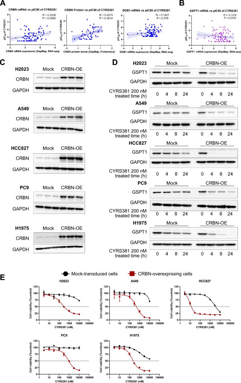 https://cdn.ncbi.nlm.nih.gov/pmc/blobs/868f/12186427/28f5a5822384/40164_2025_674_Fig4_HTML.jpg