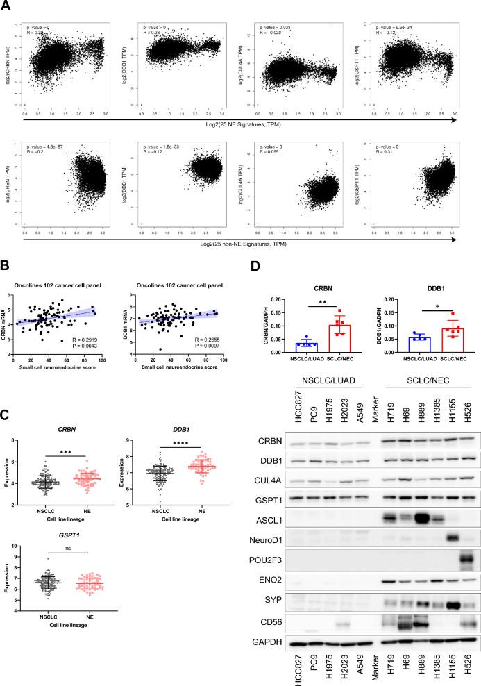 https://cdn.ncbi.nlm.nih.gov/pmc/blobs/868f/12186427/ae31a9fe718a/40164_2025_674_Fig3a_HTML.jpg