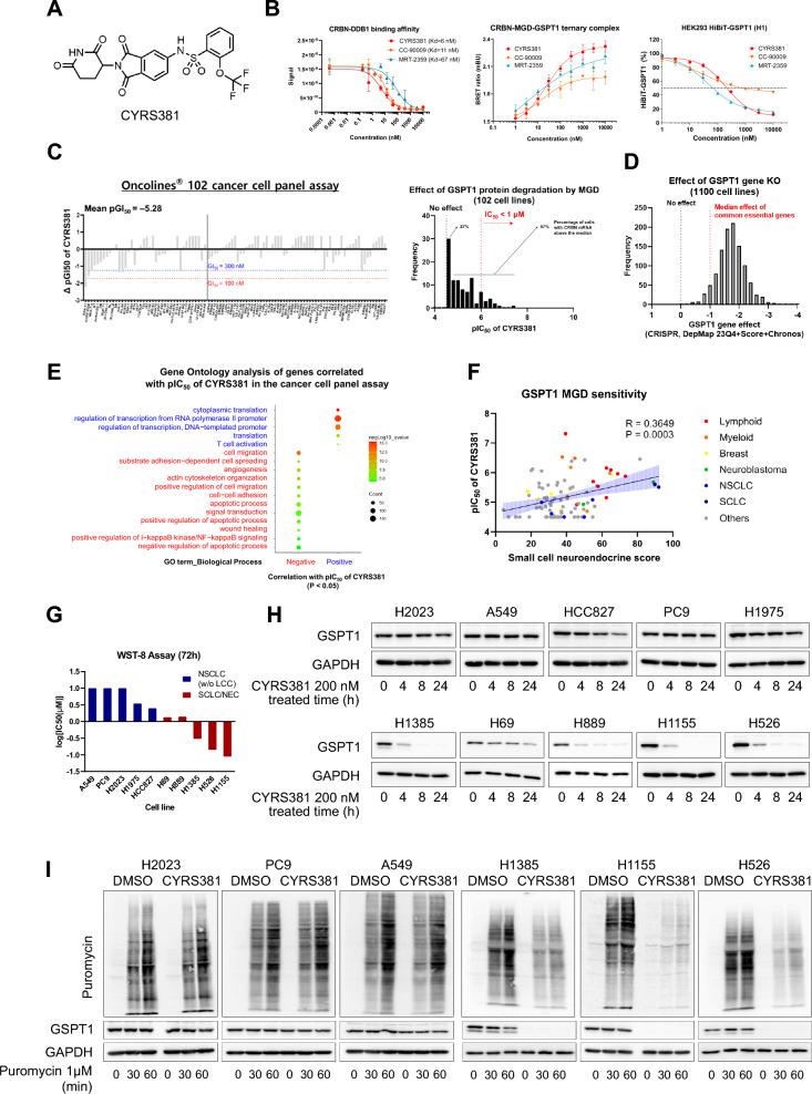 https://cdn.ncbi.nlm.nih.gov/pmc/blobs/868f/12186427/ba2ab6a7e7ba/40164_2025_674_Fig1_HTML.jpg
