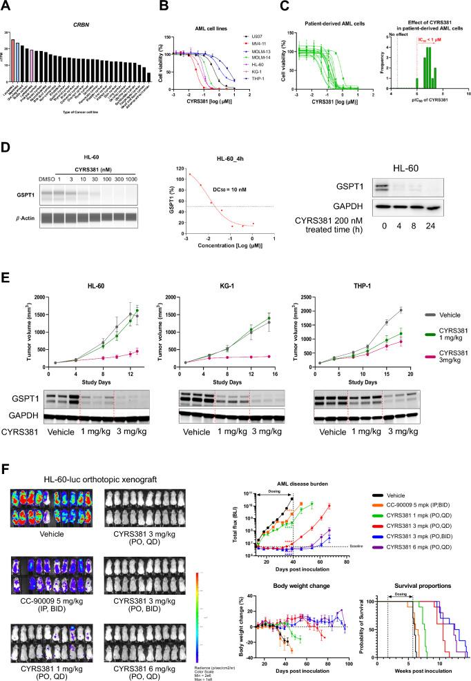 https://cdn.ncbi.nlm.nih.gov/pmc/blobs/868f/12186427/d0d0749ae6f7/40164_2025_674_Fig7_HTML.jpg