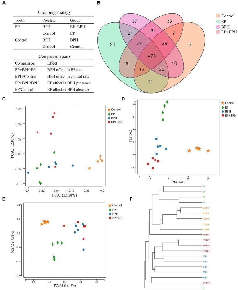 https://cdn.ncbi.nlm.nih.gov/pmc/blobs/8690/10756679/a38899603189/fmicb-14-1280628-g001.jpg