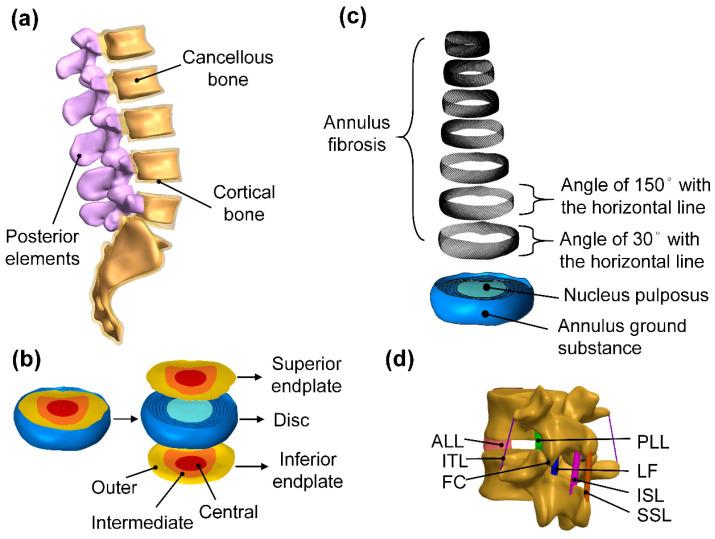 https://cdn.ncbi.nlm.nih.gov/pmc/blobs/8691/10669710/5d61752e4284/bioengineering-10-01238-g001.jpg