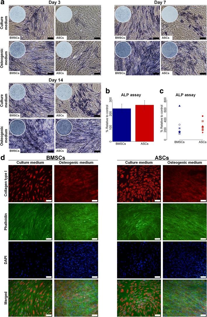 https://cdn.ncbi.nlm.nih.gov/pmc/blobs/8692/6008936/fc6a6bc2eaf5/13287_2018_914_Fig3_HTML.jpg