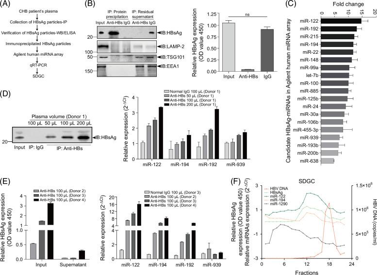 https://cdn.ncbi.nlm.nih.gov/pmc/blobs/8693/11825484/d005e1910e42/hep-81-0990-g003.jpg