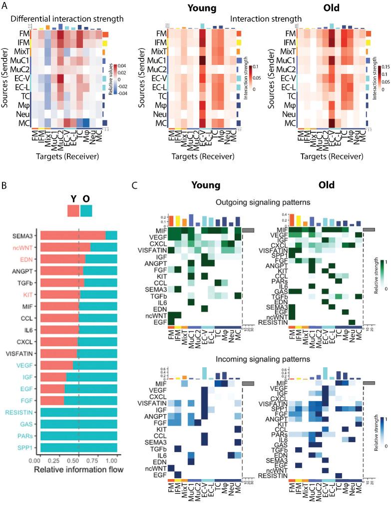 https://cdn.ncbi.nlm.nih.gov/pmc/blobs/8694/10796100/5185947a5914/AD-15-1-295-g5.jpg