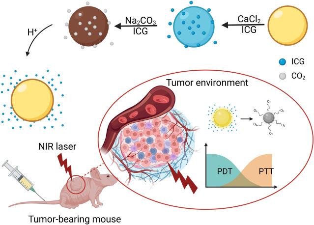 https://cdn.ncbi.nlm.nih.gov/pmc/blobs/8695/11579161/3d0ea79ed6b2/10565_2024_9943_Fig4_HTML.jpg