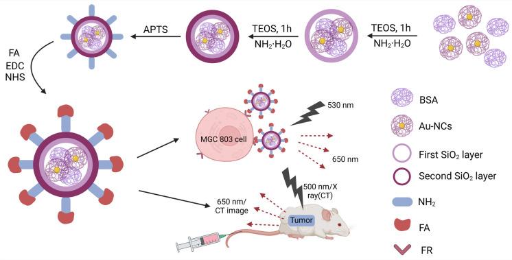https://cdn.ncbi.nlm.nih.gov/pmc/blobs/8695/11579161/7a6981b0a3b6/10565_2024_9943_Fig2_HTML.jpg