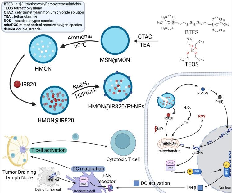 https://cdn.ncbi.nlm.nih.gov/pmc/blobs/8695/11579161/ac57f79f6b74/10565_2024_9943_Fig5_HTML.jpg