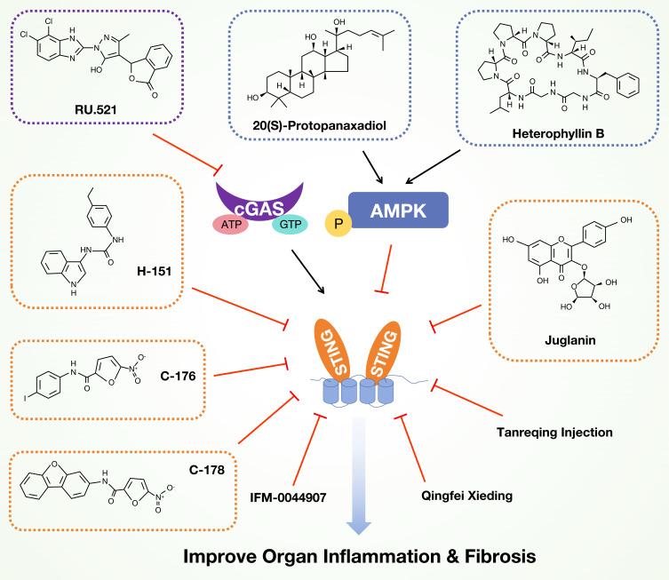 https://cdn.ncbi.nlm.nih.gov/pmc/blobs/8695/12345947/a0ef883d7d22/JIR-18-10777-g0003.jpg