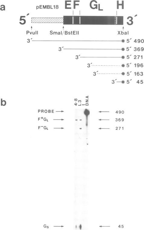 https://cdn.ncbi.nlm.nih.gov/pmc/blobs/8695/454718/821638198797/emboj00147-0261-a.jpg