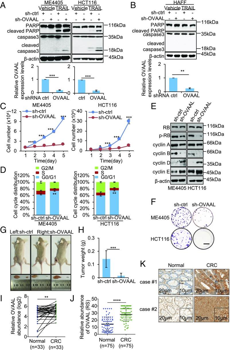 https://cdn.ncbi.nlm.nih.gov/pmc/blobs/8696/6294934/575aaf3110e7/pnas.1805950115fig02.jpg