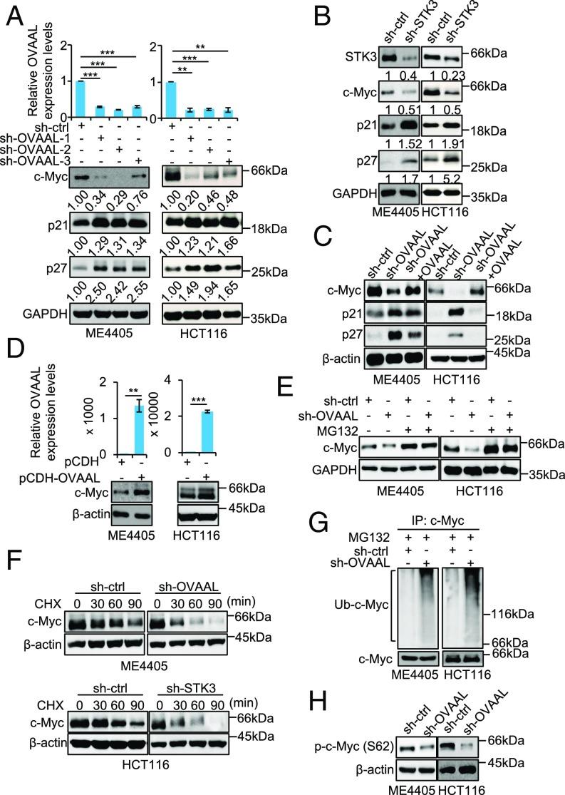 https://cdn.ncbi.nlm.nih.gov/pmc/blobs/8696/6294934/6f4a2ca6fff7/pnas.1805950115fig05.jpg