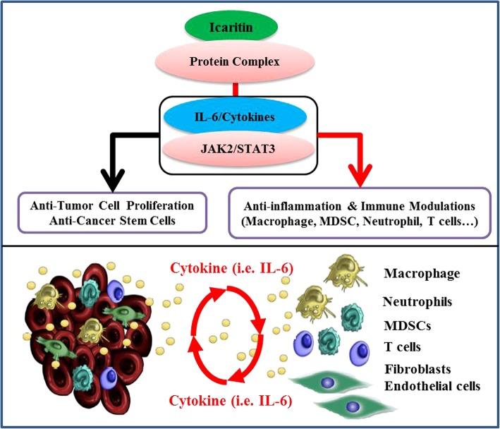 https://cdn.ncbi.nlm.nih.gov/pmc/blobs/8697/6437929/338734139f09/12885_2019_5471_Fig4_HTML.jpg