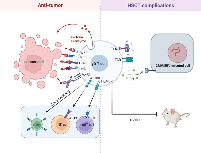 https://cdn.ncbi.nlm.nih.gov/pmc/blobs/8698/11637750/348633a9ff28/bs9-7-e00213-g002.jpg