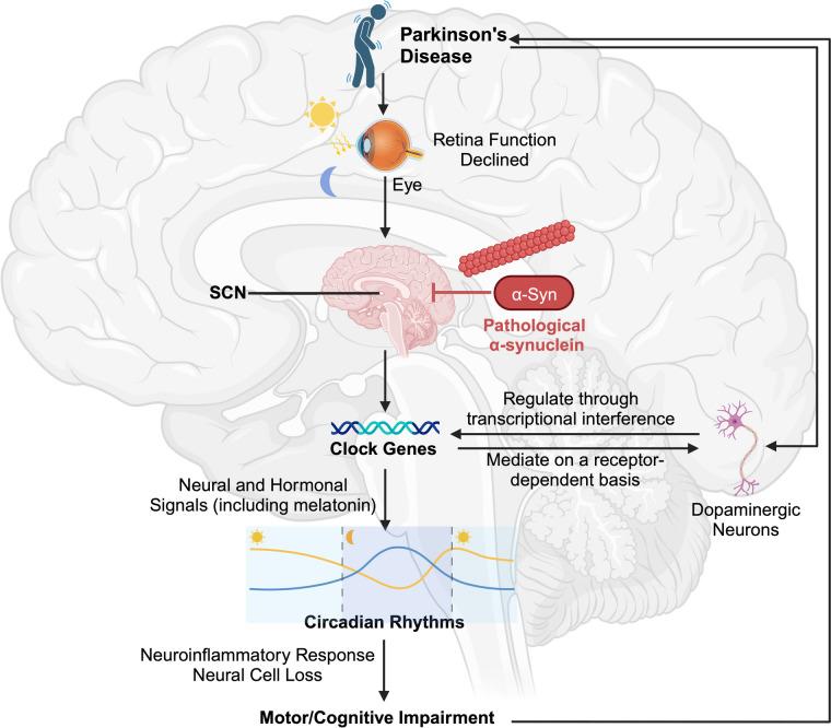https://cdn.ncbi.nlm.nih.gov/pmc/blobs/8698/11772535/35af013b146e/12035_2024_4400_Fig3_HTML.jpg