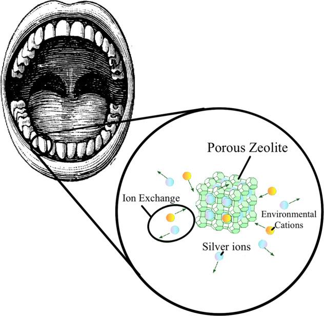 https://cdn.ncbi.nlm.nih.gov/pmc/blobs/8699/9001213/423322e1e848/10856_2022_6659_Figa_HTML.jpg