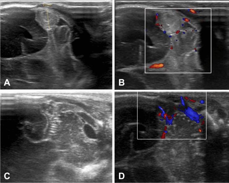 https://cdn.ncbi.nlm.nih.gov/pmc/blobs/869b/11602796/a5b65bab2c2f/381_2024_6659_Fig2_HTML.jpg
