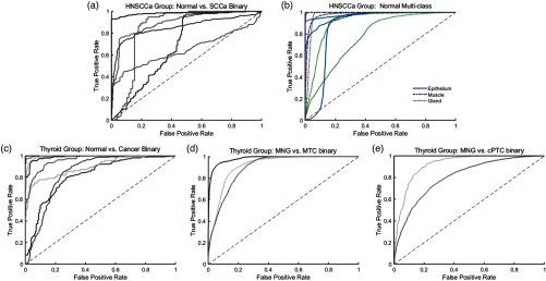 https://cdn.ncbi.nlm.nih.gov/pmc/blobs/869b/6975184/948ceffd479c/JBO-024-036007-g005.jpg