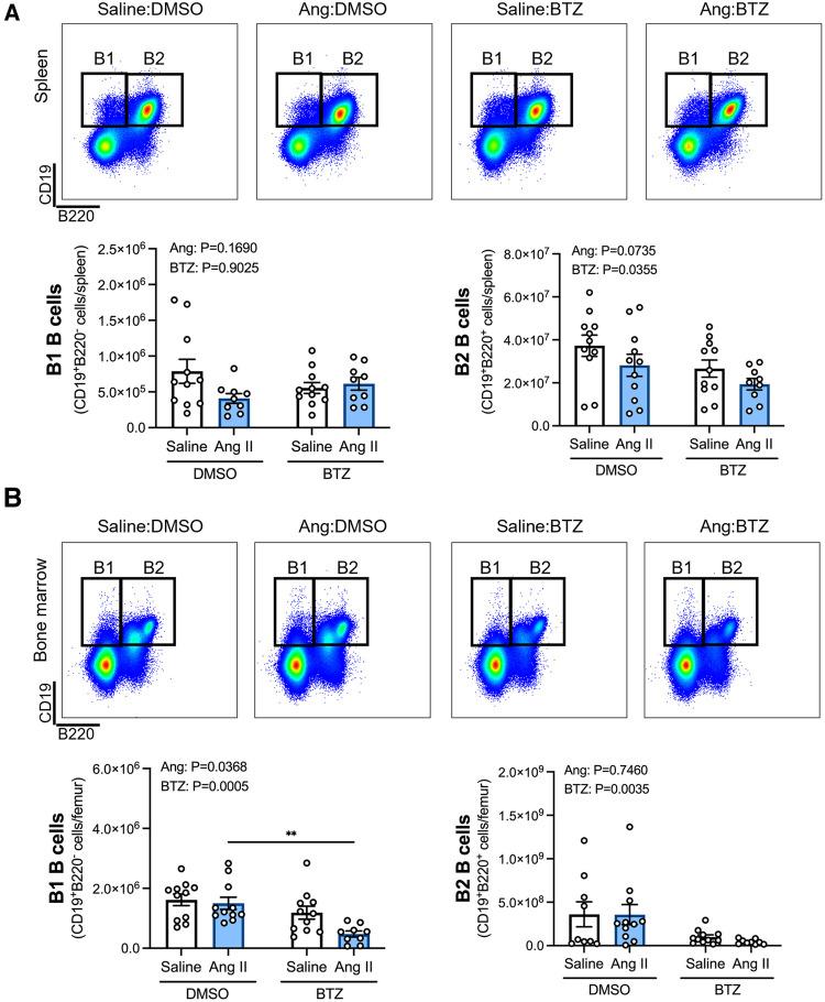 https://cdn.ncbi.nlm.nih.gov/pmc/blobs/869c/10272792/6cab354846ac/fcvm-10-1184982-g001.jpg