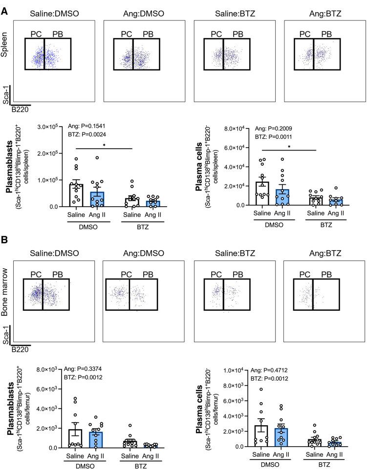 https://cdn.ncbi.nlm.nih.gov/pmc/blobs/869c/10272792/72ce1ad42de7/fcvm-10-1184982-g003.jpg