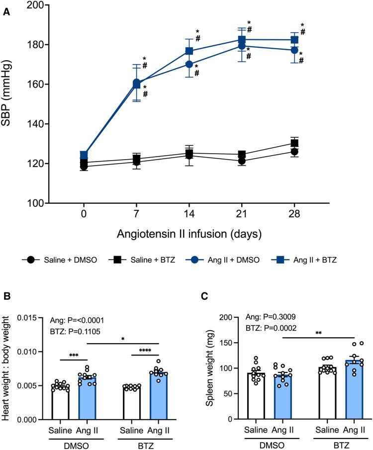 https://cdn.ncbi.nlm.nih.gov/pmc/blobs/869c/10272792/7faa3d3e4d52/fcvm-10-1184982-g005.jpg