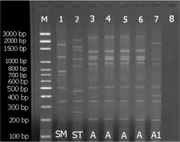 https://cdn.ncbi.nlm.nih.gov/pmc/blobs/869c/5256044/b182e0c9e514/IJPA-11-290-g003.jpg