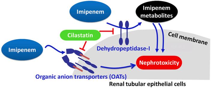 https://cdn.ncbi.nlm.nih.gov/pmc/blobs/869d/6804466/3f6c286d1537/fx1.jpg