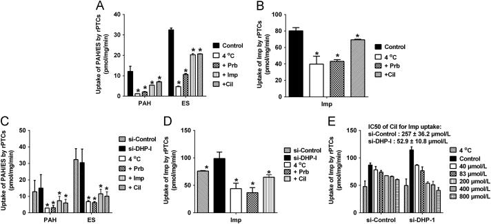 https://cdn.ncbi.nlm.nih.gov/pmc/blobs/869d/6804466/fcf26f04e509/gr6.jpg
