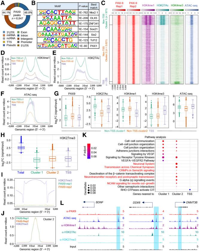 https://cdn.ncbi.nlm.nih.gov/pmc/blobs/869d/9397634/371bdcbe2621/4696fig3.jpg