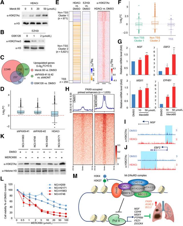 https://cdn.ncbi.nlm.nih.gov/pmc/blobs/869d/9397634/b1c2ea6b2d11/4696fig6.jpg