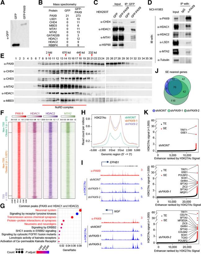 https://cdn.ncbi.nlm.nih.gov/pmc/blobs/869d/9397634/d7897f0c35e5/4696fig5.jpg