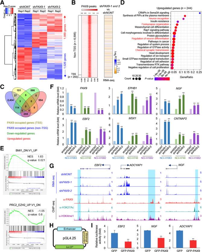 https://cdn.ncbi.nlm.nih.gov/pmc/blobs/869d/9397634/db49f4de8974/4696fig4.jpg