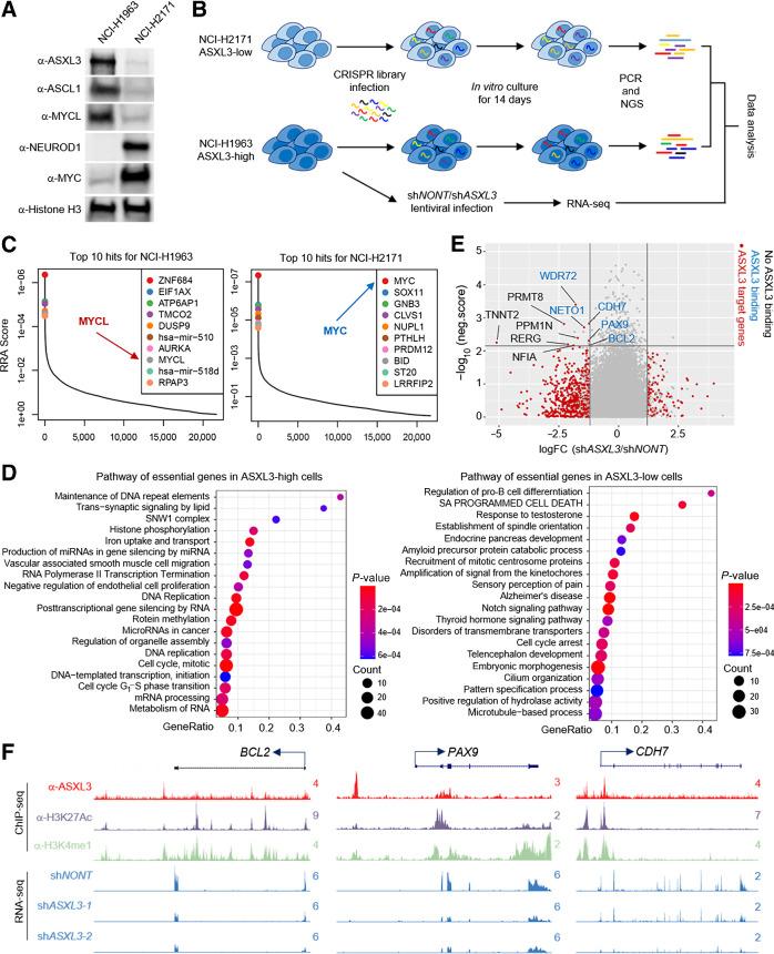 https://cdn.ncbi.nlm.nih.gov/pmc/blobs/869d/9397634/f6df29b37b61/4696fig1.jpg