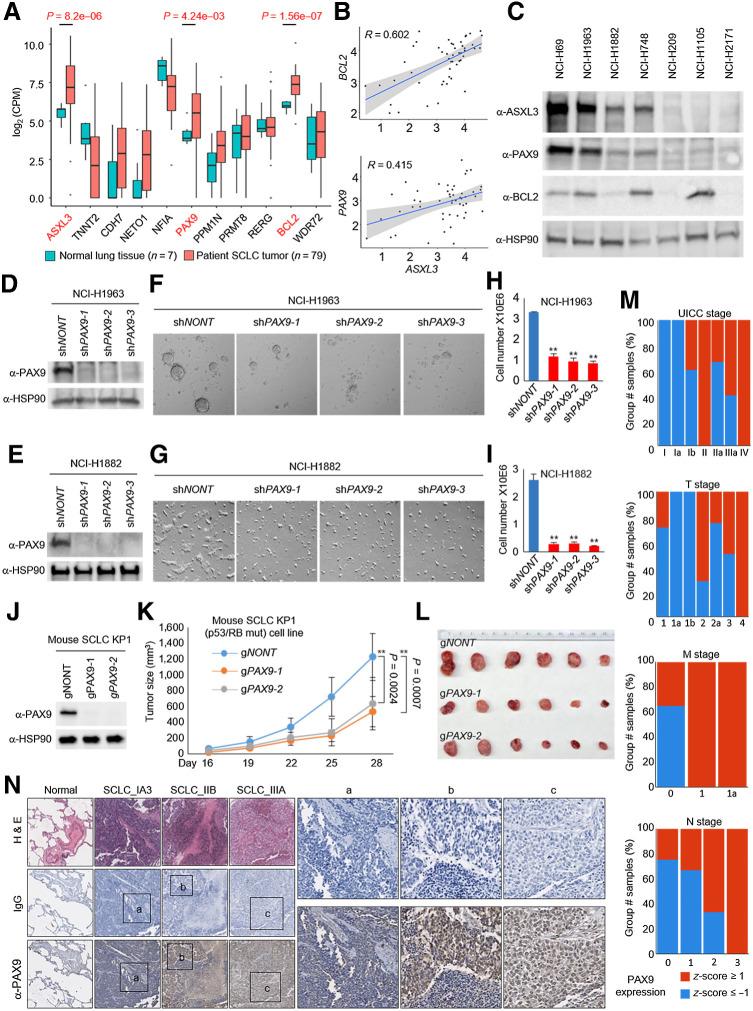 https://cdn.ncbi.nlm.nih.gov/pmc/blobs/869d/9397634/fafe6ecc92a0/4696fig2.jpg